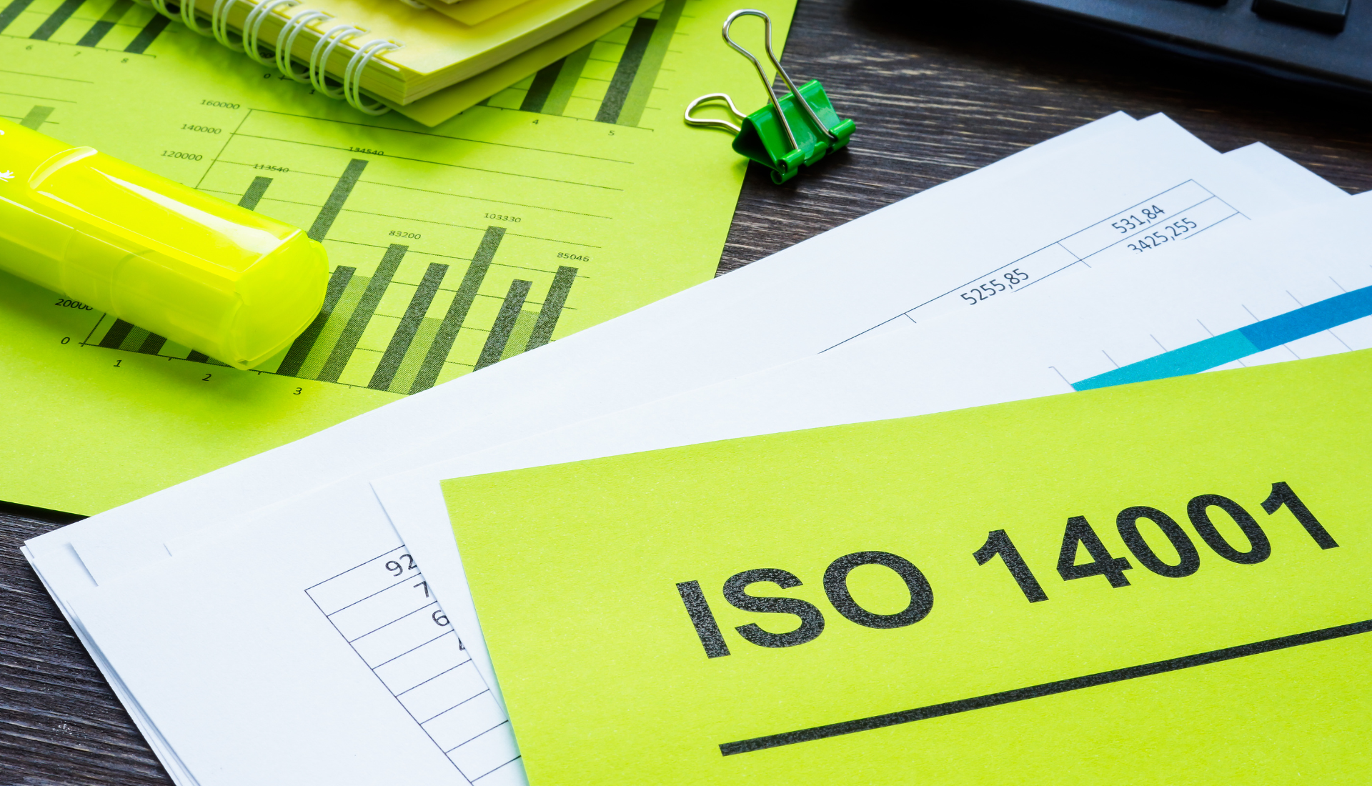 ISO 14001: conquistamos a certificação de gestão ambiental, mas o que isso melhora?